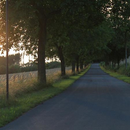 Fewo Harling - Waldsamkeit Bad Iburg Extérieur photo