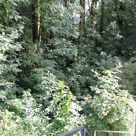 Fewo Harling - Waldsamkeit Bad Iburg Extérieur photo