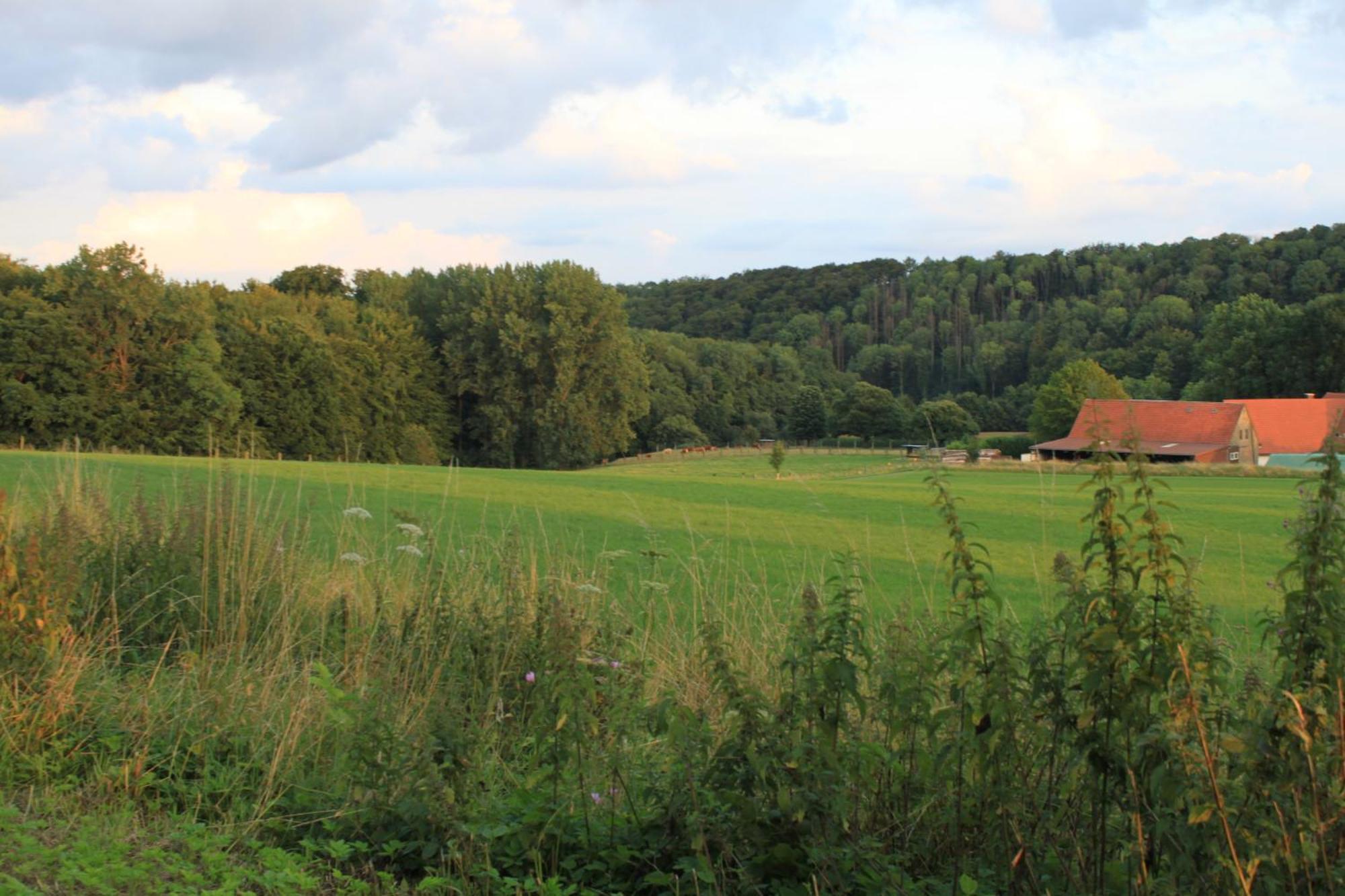 Fewo Harling - Waldsamkeit Bad Iburg Extérieur photo