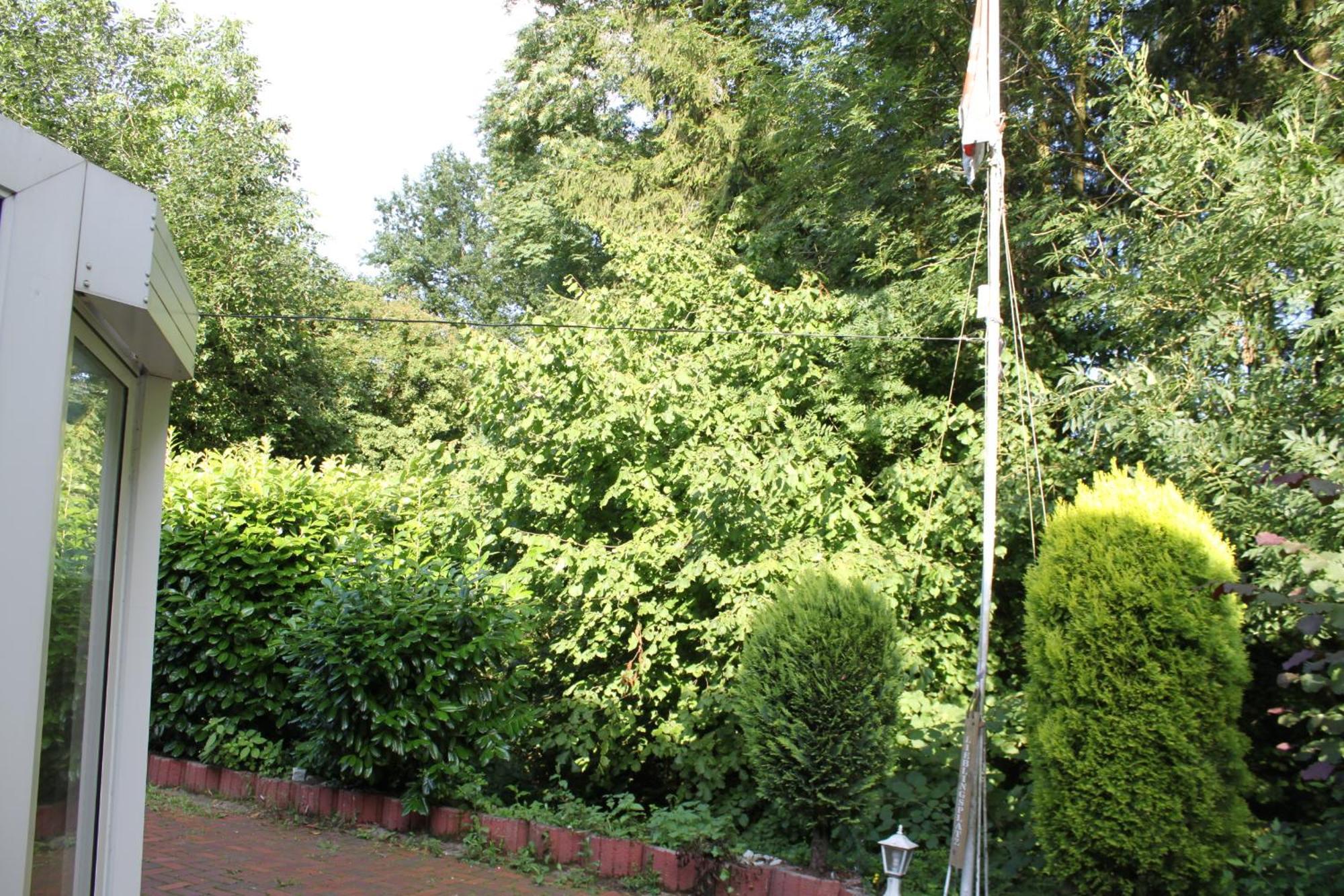 Fewo Harling - Waldsamkeit Bad Iburg Extérieur photo