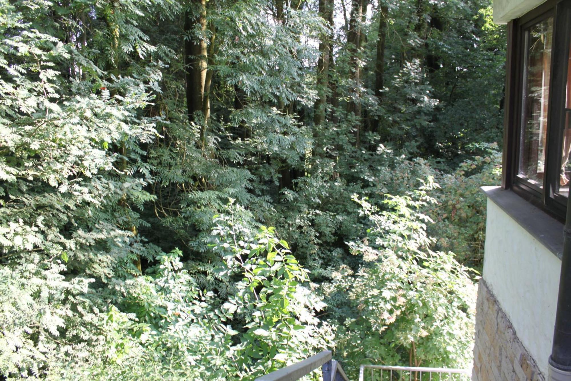 Fewo Harling - Waldsamkeit Bad Iburg Extérieur photo